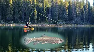 FLY FISHING Rainbow Trout in the Mountains!