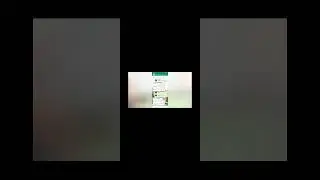 Антошка года вышел  на связь