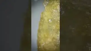 Ты разлюбишь чипсы