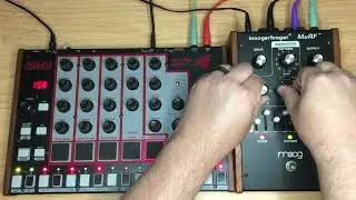 BEST. ANALOG DRUMMACHINE. EVER. (with Bass Synth thru Moog MuRF)