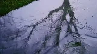 Fall ASLEEP in Minutes | Soothing Water SOUNDS
