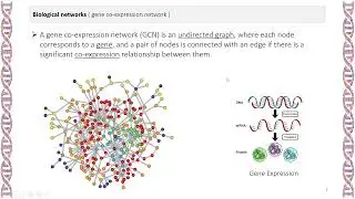 Introduction to the biological networks reconstruction and analysis