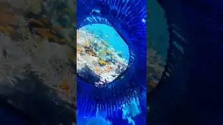 Durga Puja Pandal | Bhubaneswar #shorts #ytshort #durgamaa #festival #dussehra