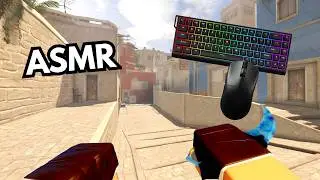 Raw Casual Defuse Division Gameplay ASMR | Keyboard Sounds Only No Commentary