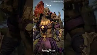Daggerfall Covenant, Aldmeri Dominion, or Ebonheart Pact? 🛡