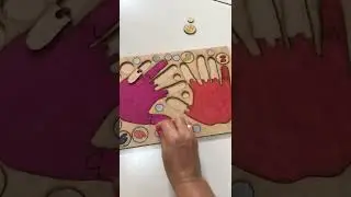 Jogo das mãozinhas numeral e quantidade