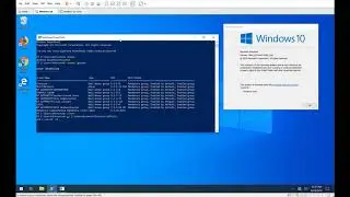 MSCTF Exploit Win10 x64, 1903