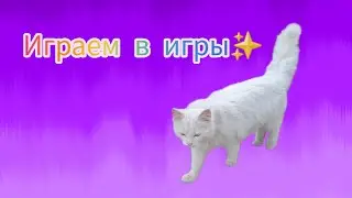 Играем в игры❤