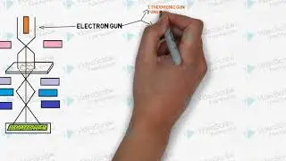 How Electron Microscope works? SEM and TEM