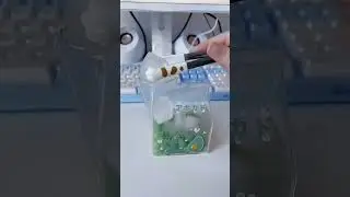 ASMR Bloopers Compilation 