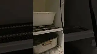 Quick defrost an upright Freezer, with a hair dryer.