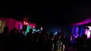 Geezapunx at The Lounge Bar, Alton: 2nd Sep '24