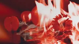 NXN - Лепестки