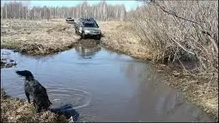 Брод