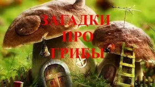Загадки про грибы для детей