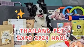 Ke Thailand cuma buat belanja barang2 anjing