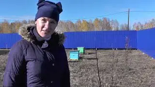 Подготовка плодовых деревьев к зиме, яблони, груши, сливы, виноград