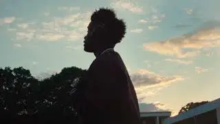 Destin Laurel - fall'