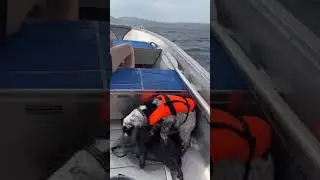 Boating Adventure in Norway: Rain, Dog, and Nature's Beauty