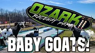 Checking out Ozark Raceway Park & Baby Goats!