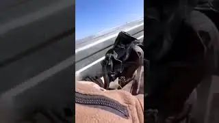 Russian soldier ejected from truck after driver hits speed hump