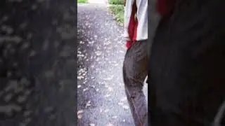 ГЕРМАН СТЕРЛИГОВ