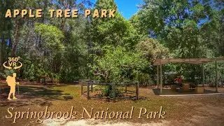 Apple Tree Park, Springbrook National Park - 360° Walkthrough