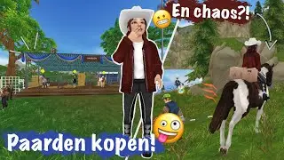 PAARDEN KOPEN & CHAOS met SABINE + SCHATTEN VINDEN? || SSO update #67 || Lisa Wiseplate SSO ||