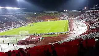 Crvena Zvezda - PSG 1-4  ⚽️ (Choreography) UEFA Champions League
