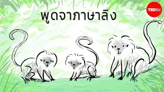 พูดจาภาษาลิง: การสื่อสารของลิงหัวลำสี - แอนน์ ซาเวจภาษาของลิงทามารินหัวปุยฝ้าย – Anne Savage