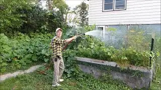 Grape, Hydrangea, Monster Beefsteak and MUCH more
