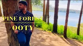 Pine Forest Ooty | Places to visit in Ooty | Ooty sightseeing | Ooty travel guide | Ooty vlog