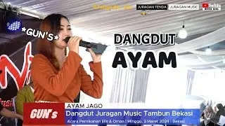 Ayam Jago Dangdut Juragan Music Tambun Bekasi #music #dangdut #dangdutkoplo #musik
