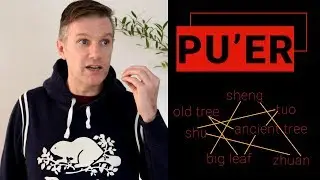 What is Pu erh Tea | Basics about Puerh | Understanding Pu-erh labels, Sheng, Shu pu er| ZhenTea