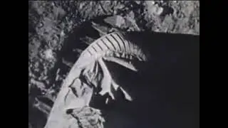 First Moon Landing || NASA || Neil Armstrong