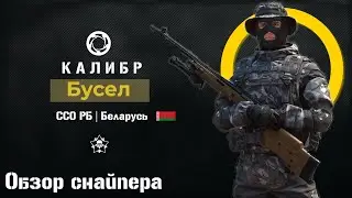 Калибр. Бусел 