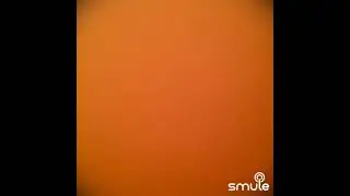 Ромашки спрятались.