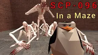 SCP-096 In A Maze | Garry's Mod