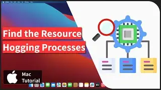 How to Identify the Resource Hogging Apps & Processes on Mac Computer