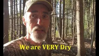We are VERY Dry (Doing Forest Fire Prevention)