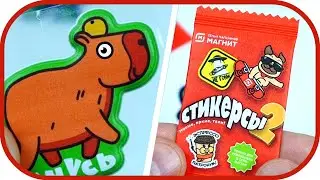 🎁 СТИКЕРСЫ 2 в Магнит! Собираю коллекцию. Новая акция. Капибара.