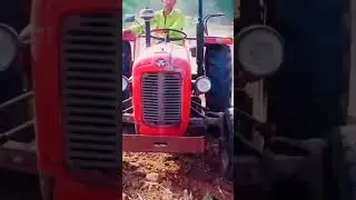 MASSEY FERGUSON 1035