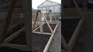 Тепличка для помидоров черри за день. 18.04.2024 г.