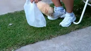 100_3305.MOV