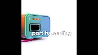 How to Port Forward Using Ngrok (No Router Configuration Required)