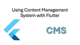 Advanced Flutter Topics  Flutter + Using a Content Management System (CMS)