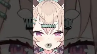 Only VTubers and Streamers will understand (OBS audio filters edition) 