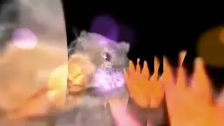 бобр кур.......