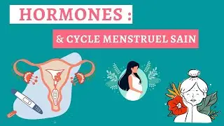 Les HORMONES : Tout ce que tu dois savoir pour un cycle équilibré (arrêt pilule, aménorrhée etc.)