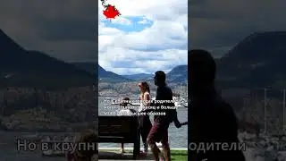 Стоимость обучения в Канаде